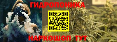 эйфоретик Шебекино