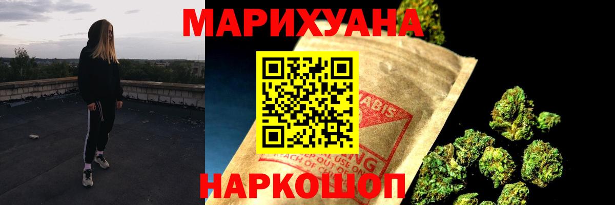 Конопля сатива Асино